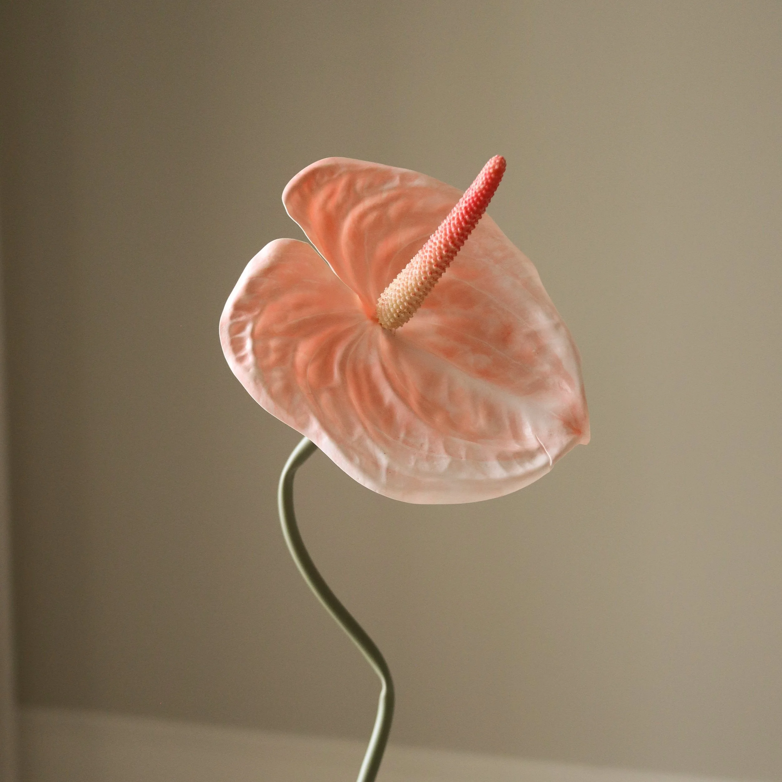 BOTANÉ Coral Anthurium Flower — MILI